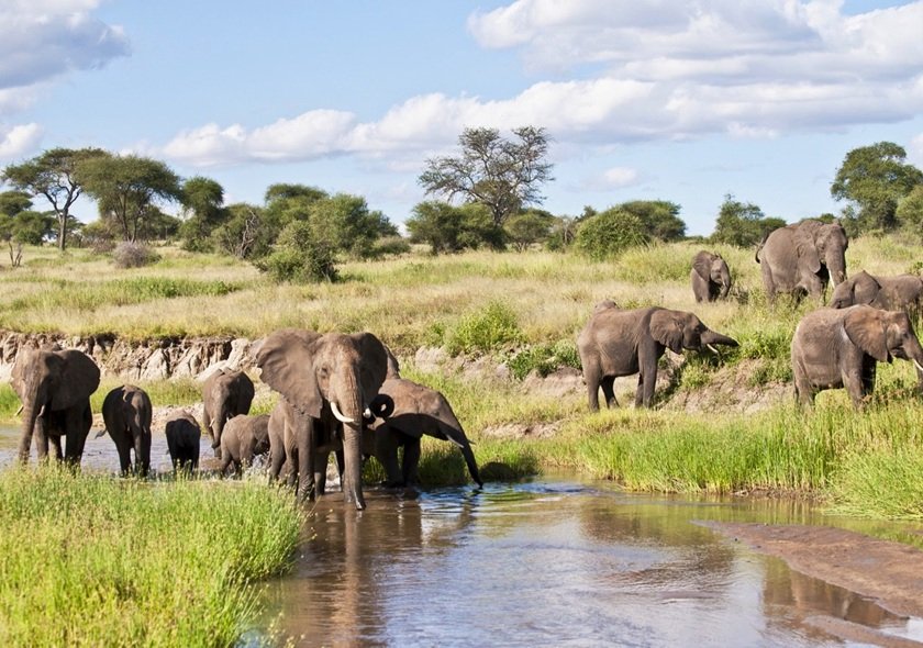 2 Days 1 Night Tarangire + Ngorongoro Safari