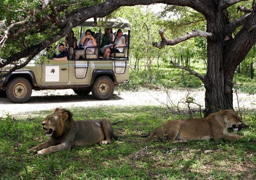 3-Day Fly in from Zanzibar Tarangire, Crater & Manyara