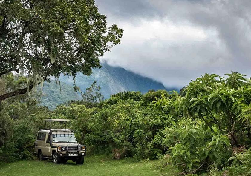 4-Day Taste of Tanzania - Tarangire, Serengeti & Crater