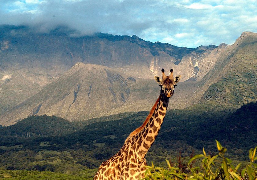 3-Day Zanzibar to Migration Fly-in&out Anniversary Tour